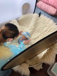 -大美母婴月子中心