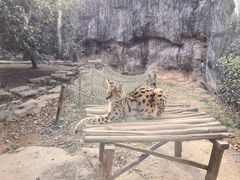 -杭州野生动物世界