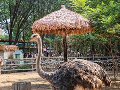 -北京野生动物园