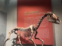 -齐齐哈尔市博物馆