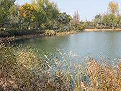 -昆山城市生态森林公园