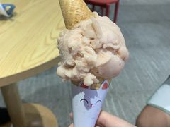 仙人掌果雪芭-歎雪糕低糖低脂Gelato冰淇淋
