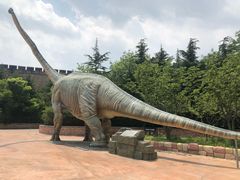 -青岛方特梦幻王国