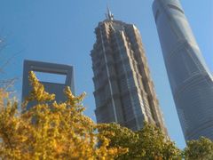 -陆家嘴中心绿地