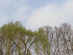 -睦南公园
