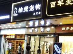 -袖虎宠物·金渐层缅因猫舍(灵芝店)