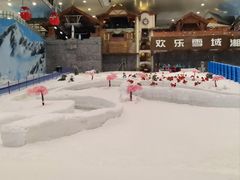 -湘江欢乐城欢乐雪域