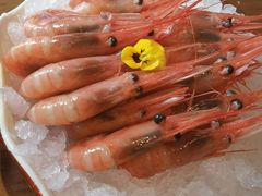 -和彩放题(渔阳店)