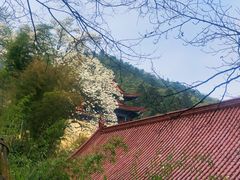 -东天目山风景区