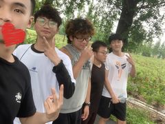 -上海长兴岛郊野公园