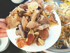 -东巴谷野生菌火锅餐厅