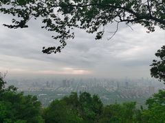 -大蜀山国家森林公园