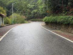 -火炉山森林公园