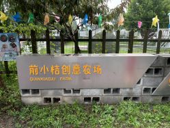 -前小桔亲子创意农场·草莓采摘·露营烧烤