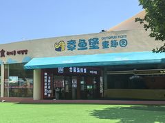 -秦皇岛乐岛海洋王国