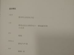 -新加坡航空公司(ION)