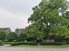 -八大山人梅湖景区