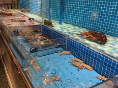 -蓝钻·国际美食海鲜自助百汇(西直门店)