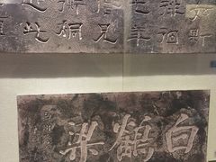 -白鹤梁水下博物馆