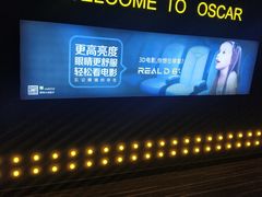 -奥斯卡升龙国际影城(RealD Cinema)