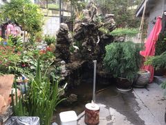 -海韵人家.海景花园经典云南菜(双廊店)