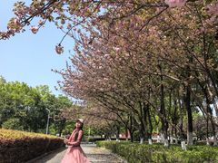 -南京奥林匹克体育中心