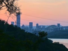 -深圳仙湖植物园
