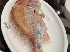 -吴记富苑(朝阳店)