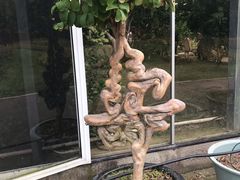 -南通洲际绿博园