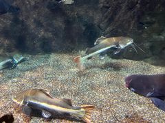 -太平洋海底世界