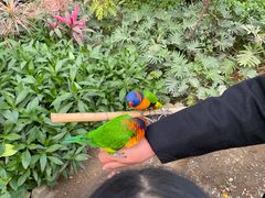 -南宫五洲植物乐园