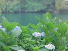 -天地生态农庄