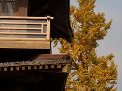 -香积寺