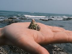 -贝壳沙滩