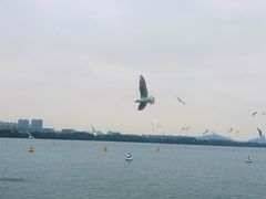 -蠡湖大桥公园