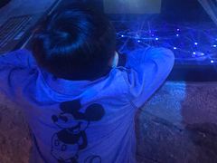 -芜湖新华联大白鲸海洋公园