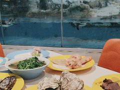 -帝企鹅自助餐厅•儿童岛•真企鹅(长隆企鹅酒店)