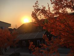 -Max Mara(王府井奥莱·香江小镇店)