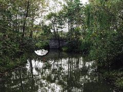 -溱湖国家湿地公园