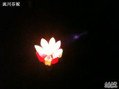-森林芡实糕坊