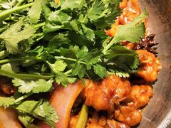 -禄婶鸡煲·打边炉