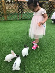 -萌宠亲子动物乐园(槐房万达店)