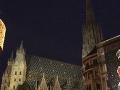 -斯蒂芬主教座堂(Stephansdom)