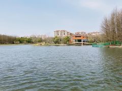 -宁波杭州湾国家湿地公园