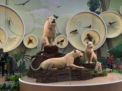 -陕西自然博物馆