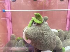 -+WAWA夹娃娃专门店·抓娃娃