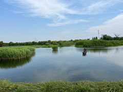 -良渚古城遗址公园