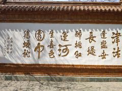 -桃花堤公园