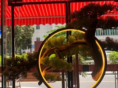 -喜上喜鸡煲翅(吉大店)