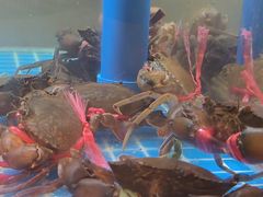 -徐记小怪兽肉蟹煲(中央大街店)